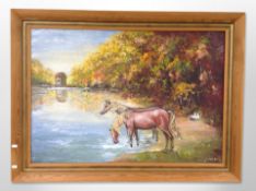 Contemporary school : Horses drinking from a lake, oil on canvas,