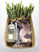 Three artificial plants in pots, a candle lantern, polyester throw.
