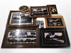 A collection of butterfly wing pictures (one box)