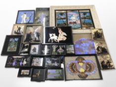 A collection of butterfly wing pictures (one box)