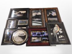 A collection of butterfly wing pictures (one box)