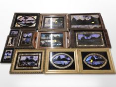 A collection of butterfly wing pictures (one box)