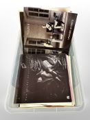 Approximately 74 vinyl LP records including Bryan Ferry, Shalamar, Sade, Whitesnake, Steve Winwood,