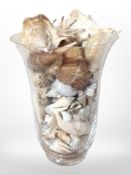 A glass vase containing seashells, height 23.5cm.