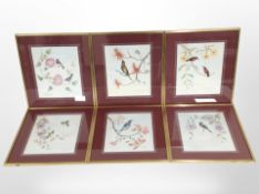 A set of six ornithological prints in gilt frames, each 45cm x 40cm overall.