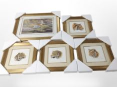 A group of five signed limited edition colour wildlife prints after Stephen Gayford,