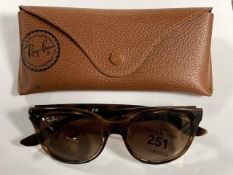 A pair of Junior Ray-Ban sunglasses in case
