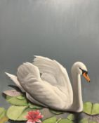 Jan J : Swan on lily pads, oil on canvas, 81cm x 100cm.