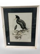 20th-century school : A study of two shags, watercolour, 24cm x 18cm, monogrammed 'A A'.