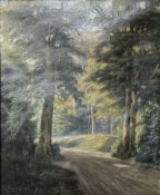 C B Hedelig : A track leading through woodland, oil on canvas, 53cm x 65cm.