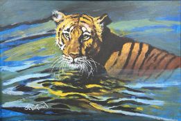 J Maitland : A Bengal tiger in a river, oil on board, 75cm x 50cm.