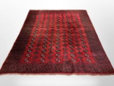 A Turkoman Bokhara carpet, Afghanistan, 256cm x 220cm.