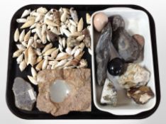 A quantity of gemstone specimens and seashells.