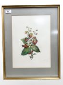 Dame Catherine Cookson OBE (British, 1906-1998) Still life of strawberries, after E L Bateman,