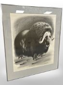 Sikke Hansen : Study of a bison, lithograph in monochrome, with printed signature, 58 cm x 47,