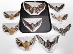 A group of taxidermy bat specimens laid to card.
