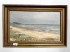 Danish school : View along a coastline, oil on canvas, 46cm x 27cm.