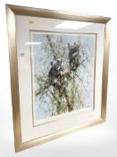 After David Shepherd : Up a Gum Tree, limited edition colour print, signed in pencil,