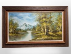 Continental school : River leading towards mountains, oil on canvas, 81cm x 42cm.