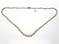 A 1920's graduated pearl necklace with pearl mounted white metal clasp and safety chain,