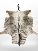 A Kudu animal skin, approximately, 190cm x 140cm.