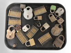 A group of inert bullet casings on clips,