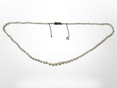 An early 20th century graduated pearl necklace with silver 'bow' clasp, length 55 cm.