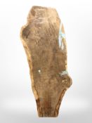 A large timber cut suitable for furniture making,