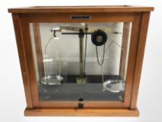 A Griffin and George Limited set of scales in glazed cabinet, width 45cm.