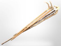Four antler-handled walking sticks.
