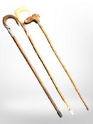 Three walking sticks, one with carved rabbit's head handle.