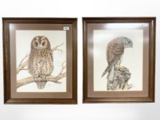 B J Davis : Study of an owl on a branch, watercolour with pen and ink, signed, dated '81,