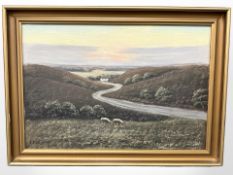 Danish school : Cottage in a rural valley, oil on canvas, 64cm x 43cm.