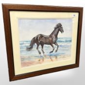 Chris Teal : A Horse on a Beach, watercolour with bodycolour, signed, 32 cm x 39 cm, framed.