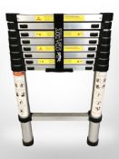 An aluminium telescopic ladder.