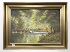 Continental School : Stream running through woodland, oil on canvas, 64cm x 44cm.