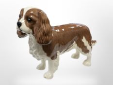 A Beswick figure of a King Charles Spaniel, height 13cm.