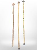 Three reproduction walking canes with animal head pommels.