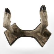 A taxidermy deer's hoof coat rack, width 40 cm.