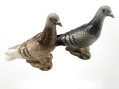 Two Beswick pigeons, both No. 1383, height 14 cm.
