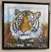 H Galschiot : Portrait of a tiger, oil on canvas, 40 cm x 40 cm.