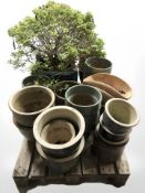 A quantity of glazed earthenware and terracotta plant pots,
