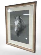 20th Century School : Study of a horse head, charcoal with colour chalk, 30 cm x 43 cm,