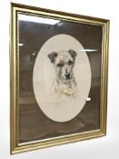 T Panet (20th century) : Portrait of a terrier 'Candy', colour chalks, signed and dated 1977,