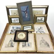A group of mainly gilt framed pictures and prints.