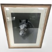 D. C. K. (20th century) : Portrait of a horse, colour chalks, signed and dated '69, 42 cm x 29 cm.