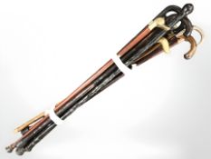 A group of walking sticks, one with brass ducks head handle.