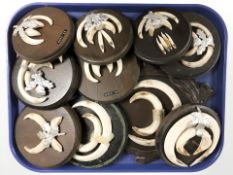 Ten sets of wild boar tusks mounted on oak plaques.