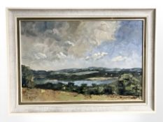 20th century school : an expansive rural landscape, oil on board,