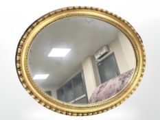 A contemporary gilt framed oval mirror, 76 cm x 56 cm.